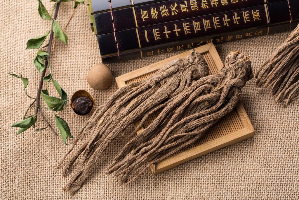好龄树·岷县当归