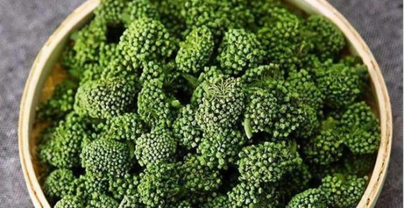 【道地药材巡礼·广西篇-田七花】
