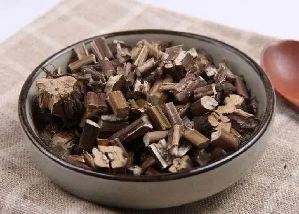 好龄树·紫苏梗