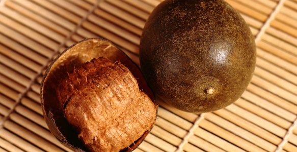 【道地药材巡礼·广西篇-罗汉果】