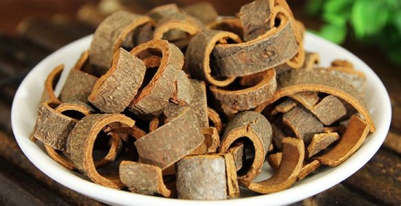 【道地药材巡礼·广西篇-肉桂】