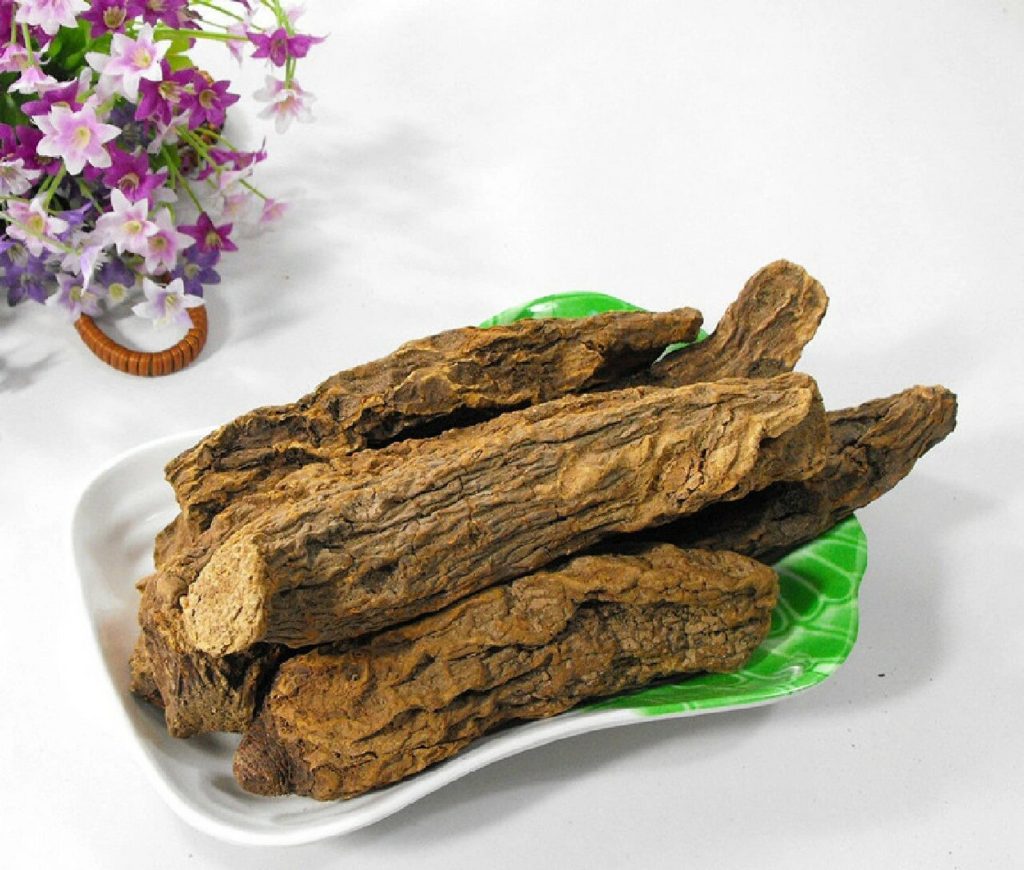 好龄树·锁阳